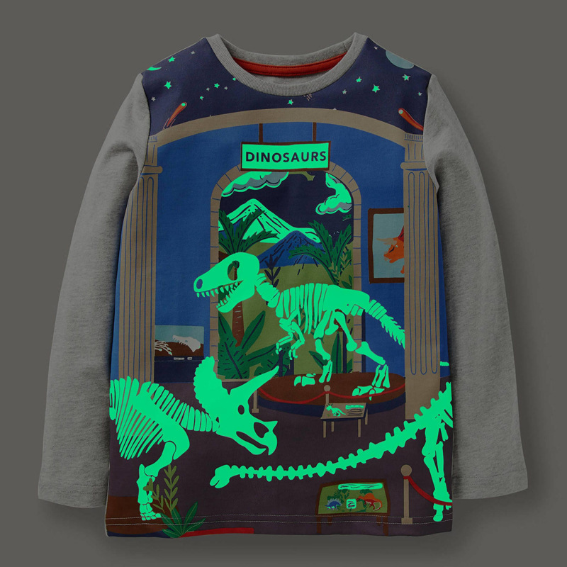 【18M-7Y】Boys Dinosaur Luminous Pattern Print Long Sleeve T-shirt - 4114